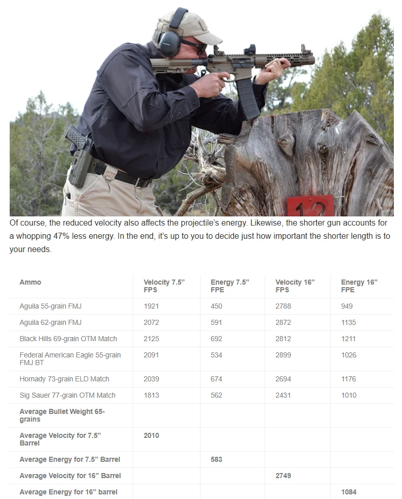 Article image 8